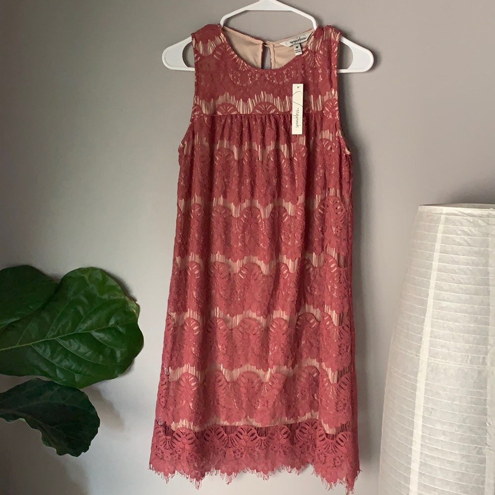 Speechless Pink Lace with Nude Underlining